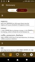 English Hindi  Dictionary FREE capture d'écran 3