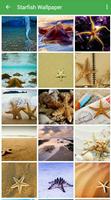Starfish Wallpapers Affiche