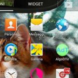 Algoritmo Patologie Tiroidee