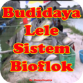Panduan Budidaya Lele Bioflok Lengkap