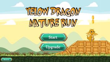 Yellow Dragon Nature Run poster