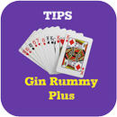 Tips For Gin Rummy Plus APK