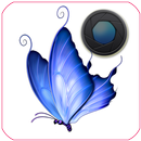 Butterfly Stickers aplikacja