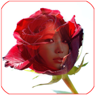 red rose frame transparent আইকন