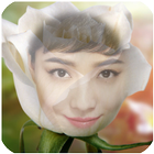 White Rose Photo Frame أيقونة