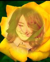 yellow rose flower frame โปสเตอร์