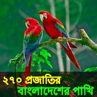 বাংলাদেশের পাখি โปสเตอร์