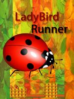 LadyBird Runner โปสเตอร์