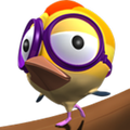 Cherry Bird