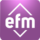 EfmAudit-icoon