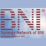 BNI Synergy Group by DSI icône