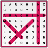 Word Search