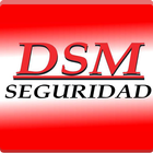 DSM Seguridad EasyView icône