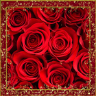 Rose Day Frames icône