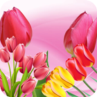 Tulip Wallpaper आइकन