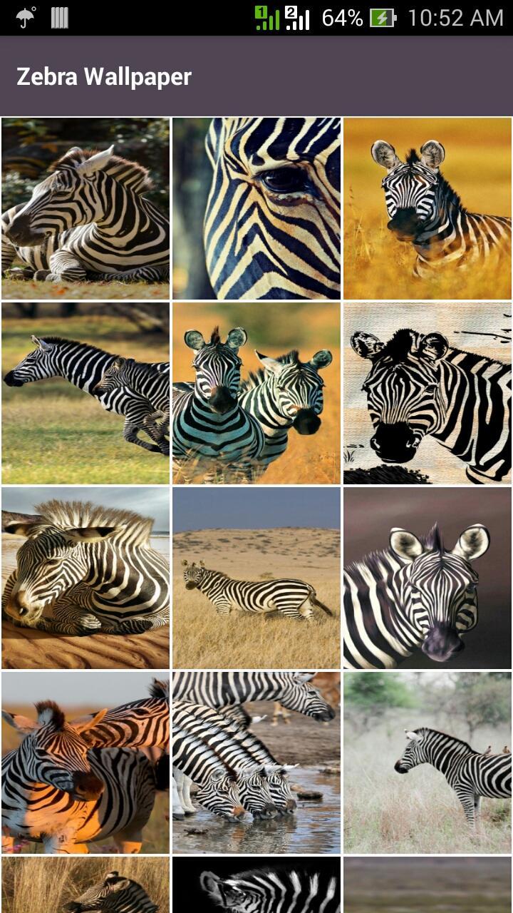 Zebra android Zebra android
