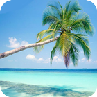 Beach wallpaper أيقونة