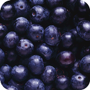 Blueberry Wallpaper APK