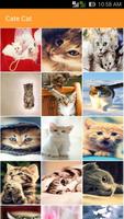 Cute Cat Wallpaper Affiche