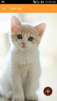 Cute Cat Wallpaper ภาพหน้าจอ 1