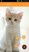 Cute Cat Wallpaper скриншот 2