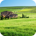Farm Wallpapers