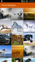 Horse Wallpaper Affiche