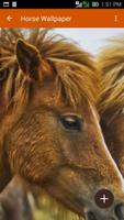 Horse Wallpaper 스크린샷 1