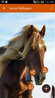 Horse Wallpaper 스크린샷 2