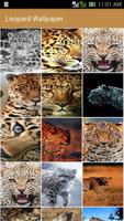 Leopard wallpaper постер