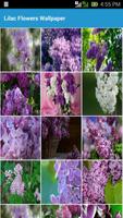 Lilac Wallpapers Affiche