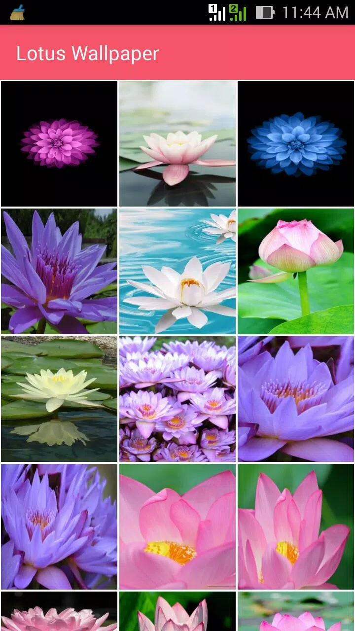 Lotus Wallpaper APK for Android Download Lotus Wallpaper APK for Android Download