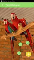 برنامه‌نما Parrot Wallpaper عکس از صفحه