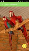 Parrot Wallpaper ภาพหน้าจอ 1