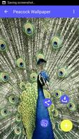 Peacock Wallpaper Ekran Görüntüsü 2