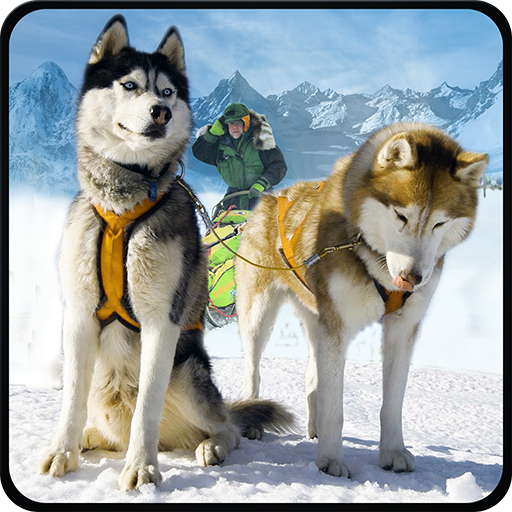 雪犬ソリシミュレータ3D