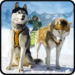Schnee Hundeschlittenfahren 3D