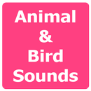 Animal and Bird Sounds Offline APK
