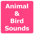 Animal and Bird Sounds Offline-icoon