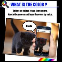 What is the color ? الملصق