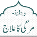 Mirgi Ka Ilaj / Wazifa APK