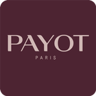 Payot icône