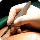 Elegant Plastic Surgery