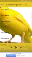 Kicau Kenari & Video capture d'écran 3