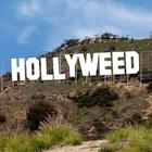Hollywood Sign Generator icône