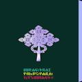 Ethiopian Amharic Holy Bible