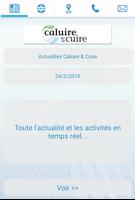 Mairie de Caluire et Cuire 포스터