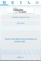 Mairie de Caluire et Cuire Affiche