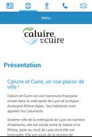 Mairie de Caluire et Cuire capture d'écran 1