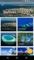 Maldives Affiche